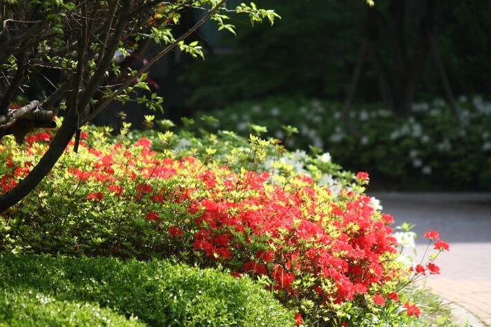 0bf3a50bb731341a7dcea820230a7743_1430188