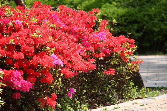 0bf3a50bb731341a7dcea820230a7743_1430188