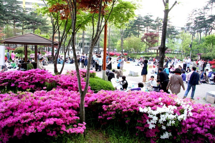 0bf3a50bb731341a7dcea820230a7743_1430188