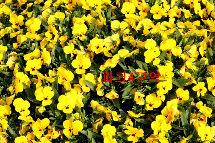 0bf3a50bb731341a7dcea820230a7743_1430189