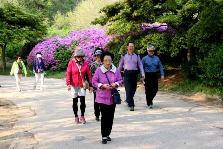 0bf3a50bb731341a7dcea820230a7743_1430189