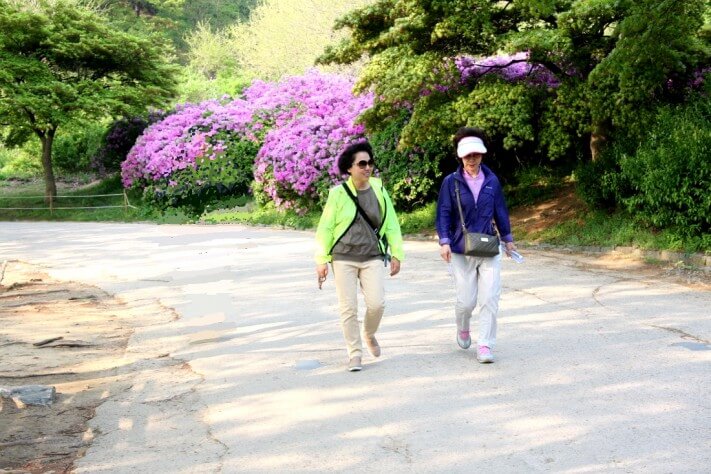 0bf3a50bb731341a7dcea820230a7743_1430189