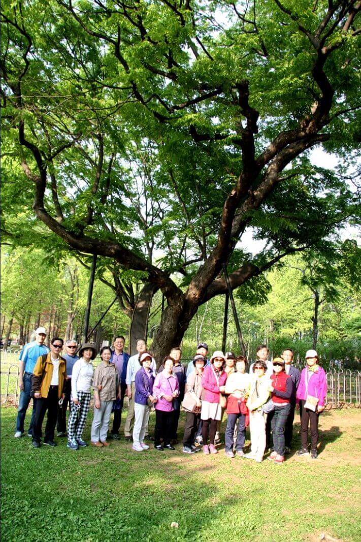 0bf3a50bb731341a7dcea820230a7743_1430189