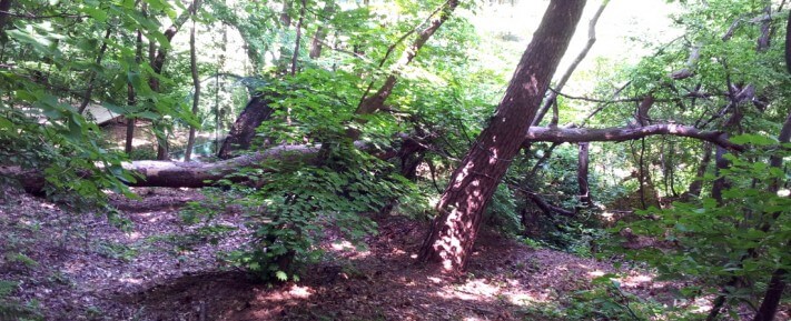 683c13b84bbc05c2aba64eecb1b670e1_1432618