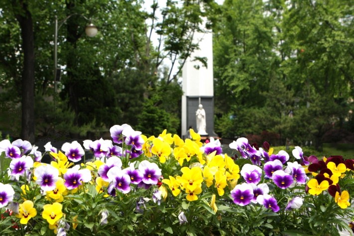 e5bcb0fc433e097f2fc94a6a24c03c59_1431929