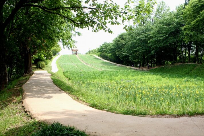 e5bcb0fc433e097f2fc94a6a24c03c59_1431930