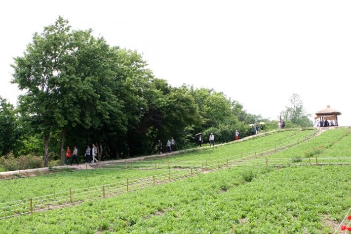 e5bcb0fc433e097f2fc94a6a24c03c59_1431930