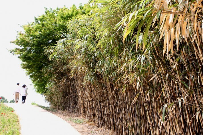 e5bcb0fc433e097f2fc94a6a24c03c59_1431930