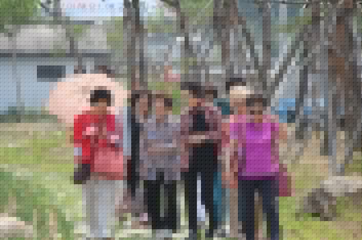 d00f17eb4fb1fe3f1843bb56fc7ed5f7_1434786