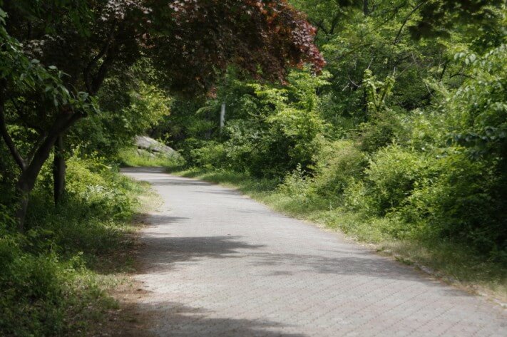 41b590e43a5c97ff0962aa10273cdbfb_1433430