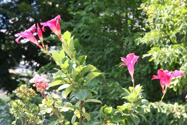 14bc6e9cbfb7b0bc12b81b14ac94dbeb_1441013