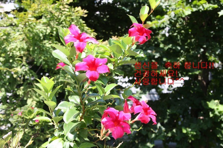 21667c3c60b3789f25d63047fe7b8abc_1441017