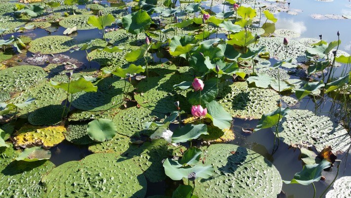 bee041bbcfcbe78315ab3c8e55ff9805_1442296