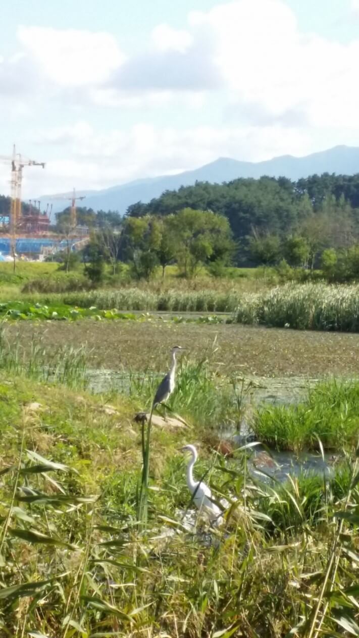 bee041bbcfcbe78315ab3c8e55ff9805_1442296