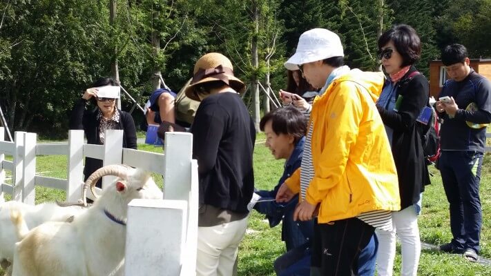 bee041bbcfcbe78315ab3c8e55ff9805_1442296