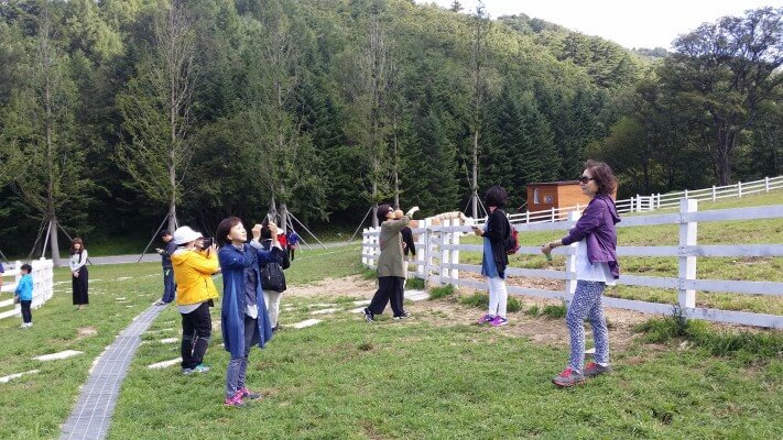 bee041bbcfcbe78315ab3c8e55ff9805_1442296