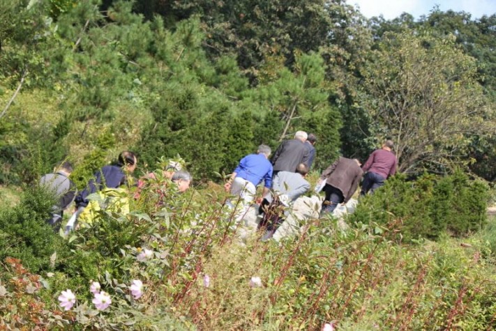 299f4117dab2d86788790afb0e5d878c_1444099