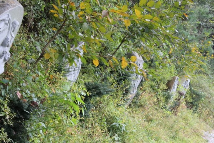 299f4117dab2d86788790afb0e5d878c_1444100