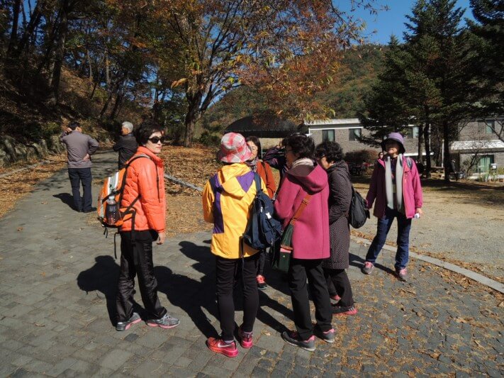 385e69c2b19b92c072b7c489d6bc1efa_1446288