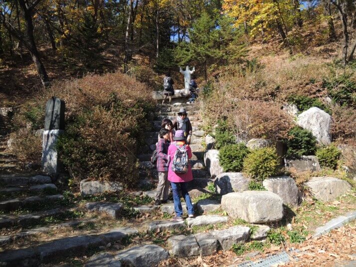 385e69c2b19b92c072b7c489d6bc1efa_1446288