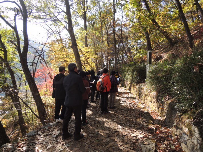 385e69c2b19b92c072b7c489d6bc1efa_1446288