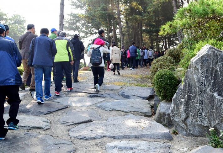 7c2ce986f3630fae12d7d5ef3f0d7c63_1445093