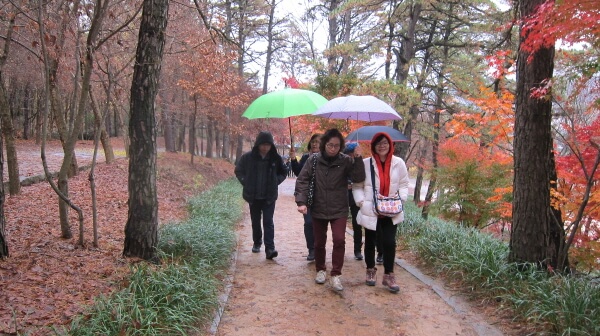 4aefbc9e88fc48f3a93c53b8a6fb6980_1448092