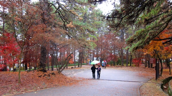 4aefbc9e88fc48f3a93c53b8a6fb6980_1448092