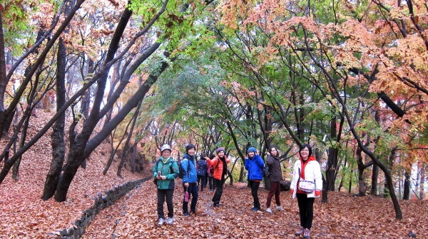 4aefbc9e88fc48f3a93c53b8a6fb6980_1448093