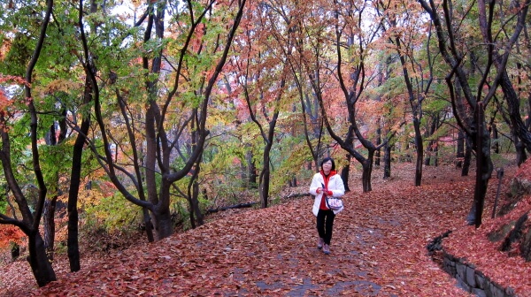 4aefbc9e88fc48f3a93c53b8a6fb6980_1448093