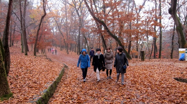 4aefbc9e88fc48f3a93c53b8a6fb6980_1448093