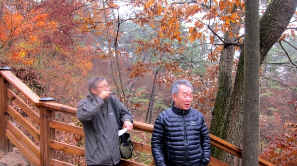 4aefbc9e88fc48f3a93c53b8a6fb6980_1448093