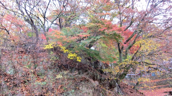 4aefbc9e88fc48f3a93c53b8a6fb6980_1448094