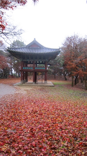 4aefbc9e88fc48f3a93c53b8a6fb6980_1448094