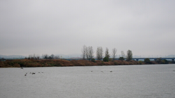 4aefbc9e88fc48f3a93c53b8a6fb6980_1448097