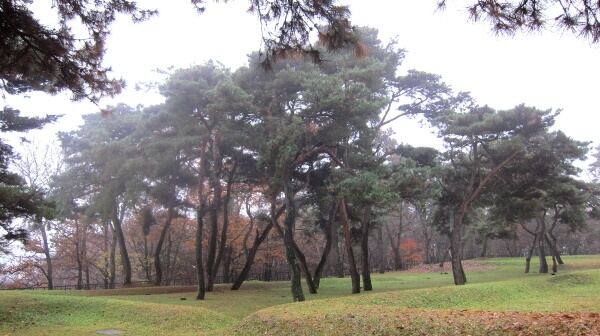 4aefbc9e88fc48f3a93c53b8a6fb6980_1448099