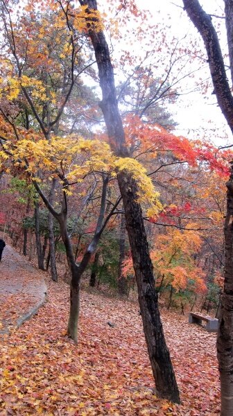 4aefbc9e88fc48f3a93c53b8a6fb6980_1448099