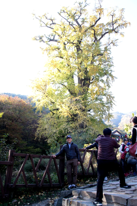 cd13df0a3232f9e2b1b38ab5c7a95df7_1446382