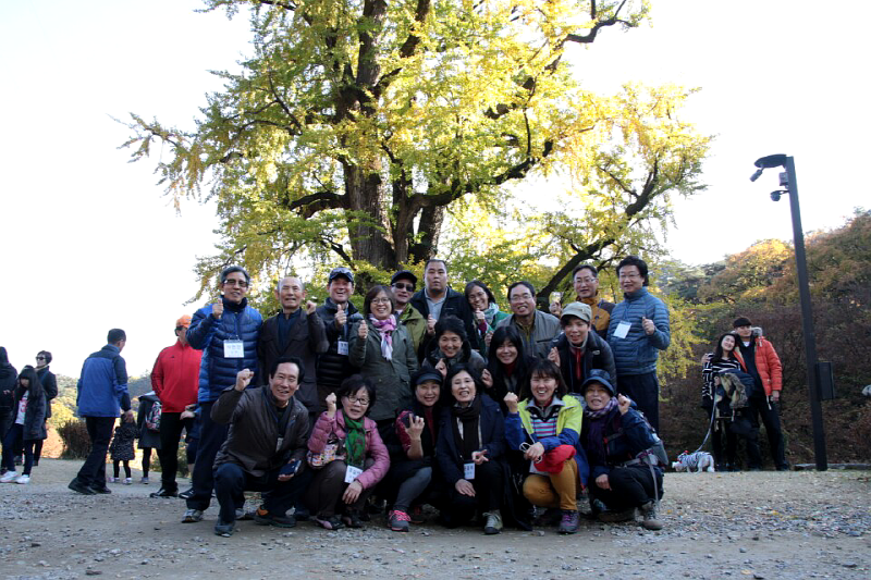 cd13df0a3232f9e2b1b38ab5c7a95df7_1446382