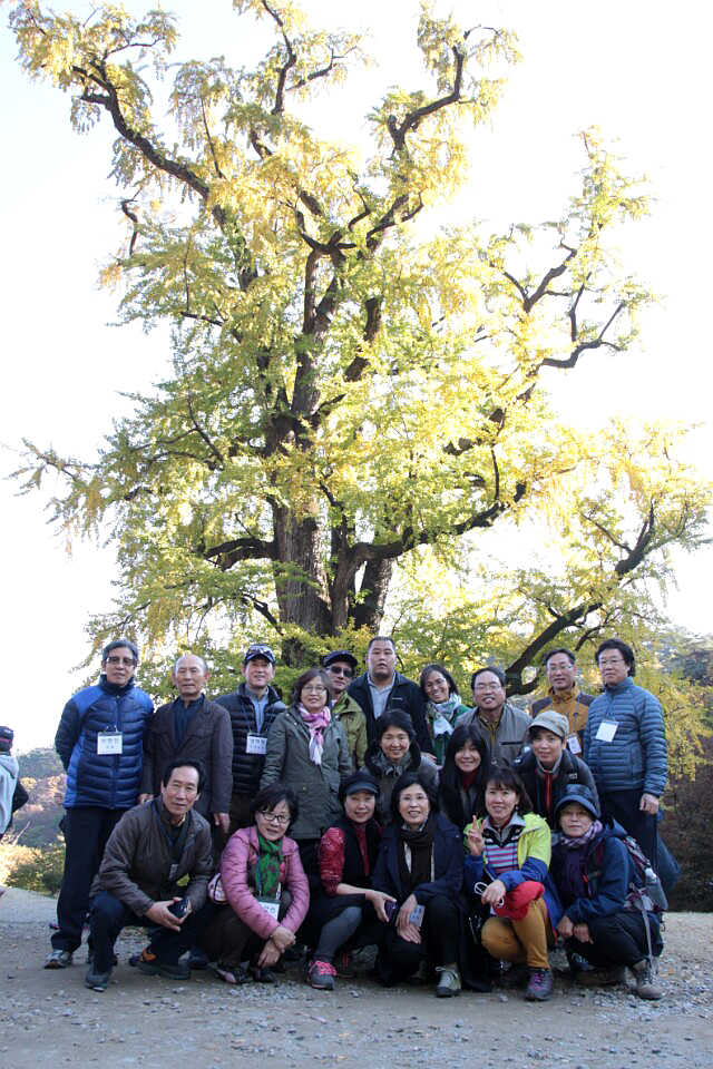 cd13df0a3232f9e2b1b38ab5c7a95df7_1446382