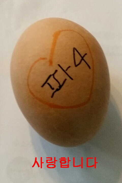 cd13df0a3232f9e2b1b38ab5c7a95df7_1446382