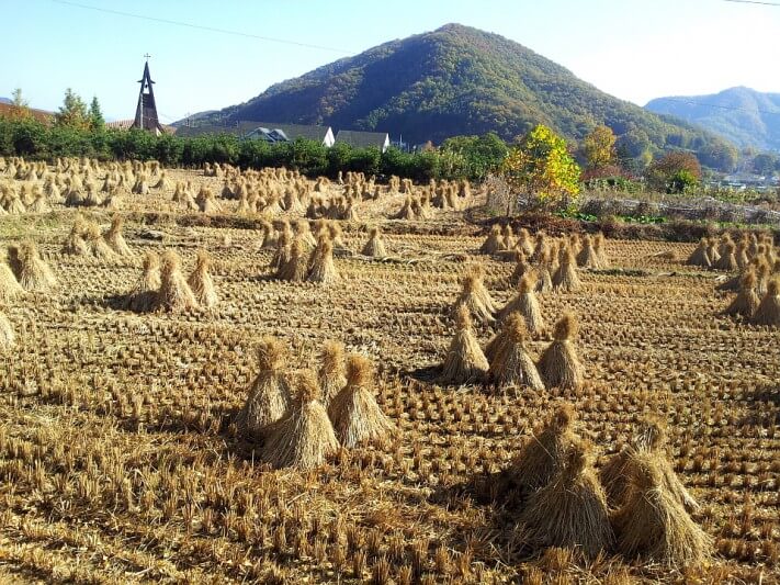 cd13df0a3232f9e2b1b38ab5c7a95df7_1446382