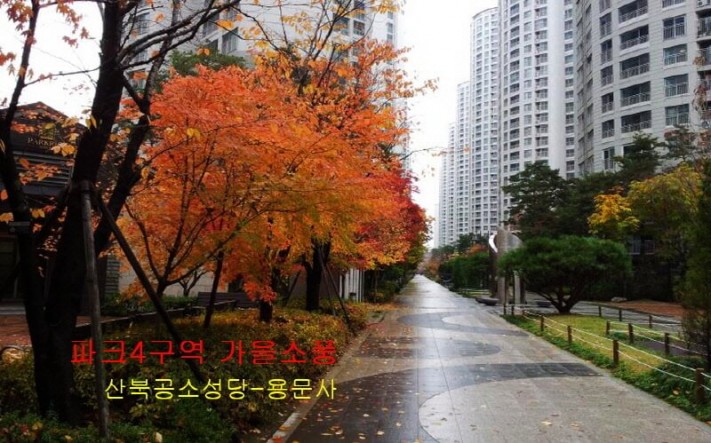 cd13df0a3232f9e2b1b38ab5c7a95df7_1446382