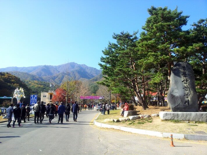 cd13df0a3232f9e2b1b38ab5c7a95df7_1446382