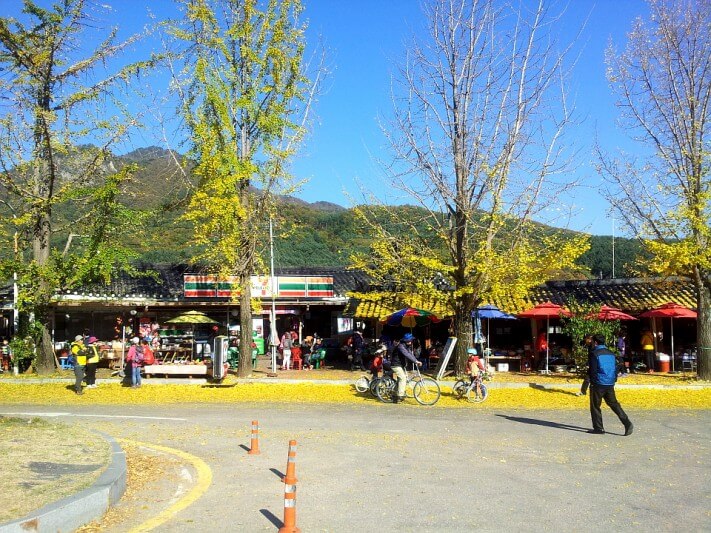 cd13df0a3232f9e2b1b38ab5c7a95df7_1446382