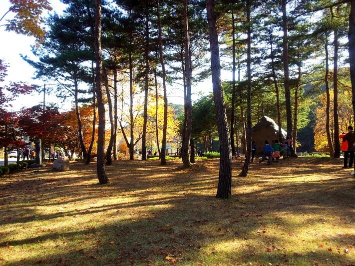 cd13df0a3232f9e2b1b38ab5c7a95df7_1446382