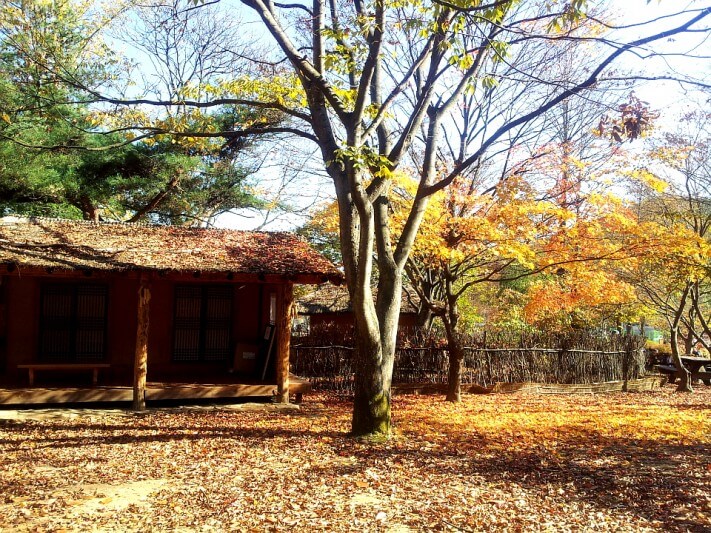 cd13df0a3232f9e2b1b38ab5c7a95df7_1446382