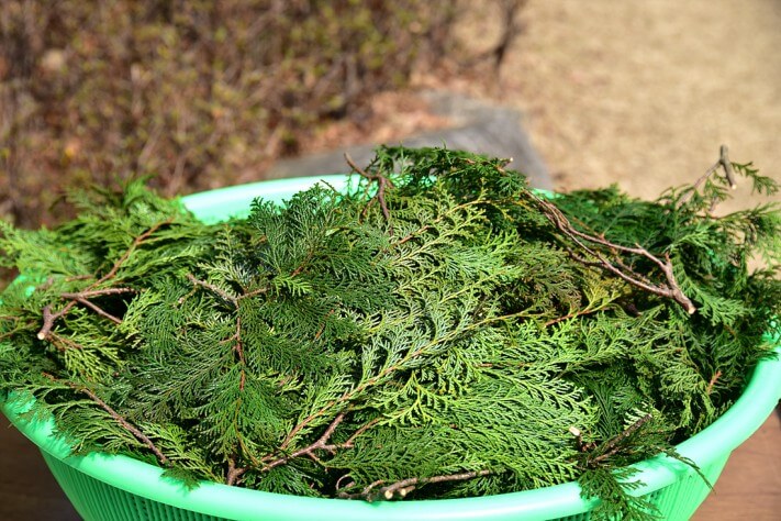 7611cb33ccaa00a49e2d043475088180_1458482