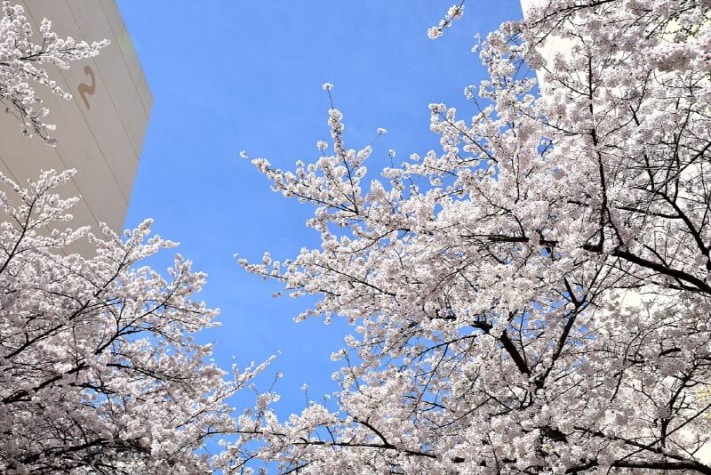 58183433e65f1790553bc48afa35c6d2_1459780