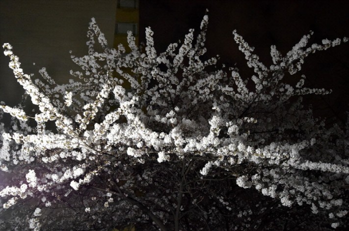 58183433e65f1790553bc48afa35c6d2_1459780